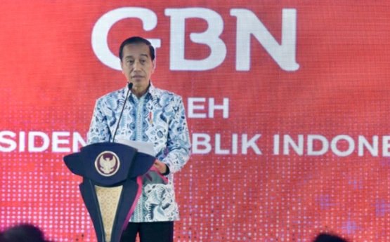 Tak Berniat Laporan Rocky Gerung, Jokowi: Itu Hal Kecil, Saya Kerja Saja 