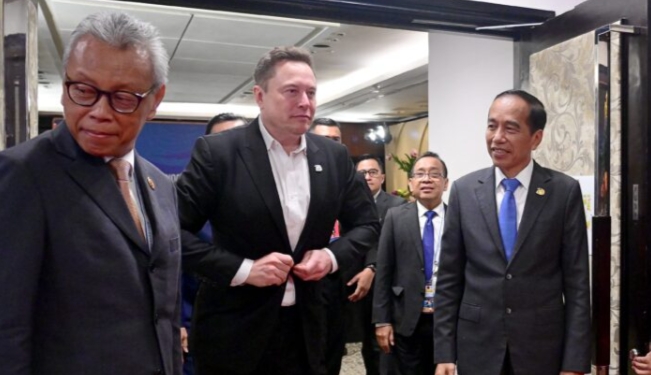 Datang Disambut Jokowi, Elon Musk Hanya Investasi Rp30 M di Indonesia 
